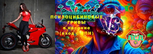 таблы Новодвинск