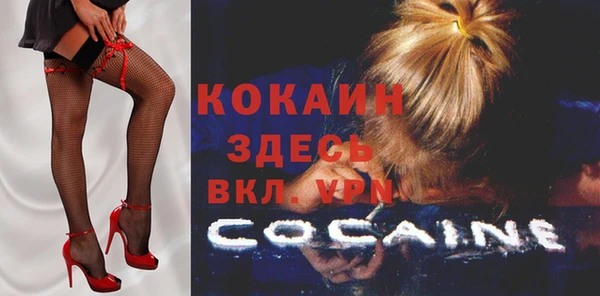 таблы Новодвинск