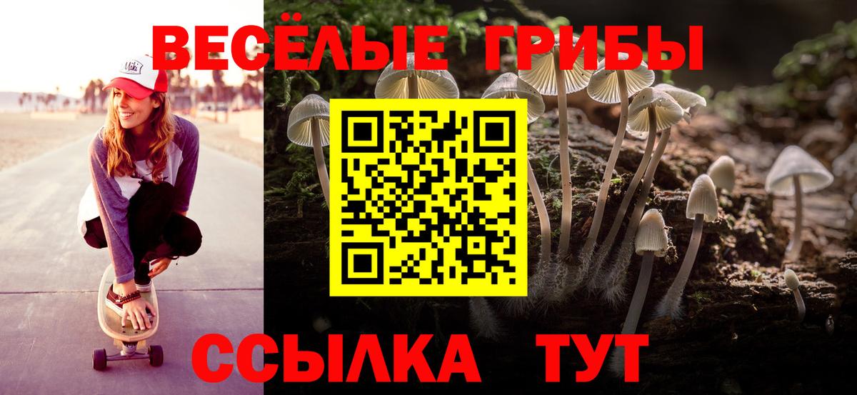 Кировск  Галлюциногенные грибы GOLDEN TEACHER  купить закладку  Вход с VPN 
