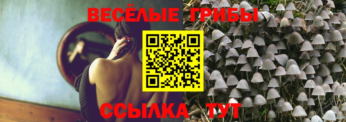 Галлюциногенные грибы MAGIC MUSHROOMS Кировск